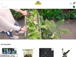 Sites similar to kings.co.nz