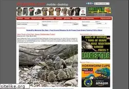 Sites similar to kingsnake.com