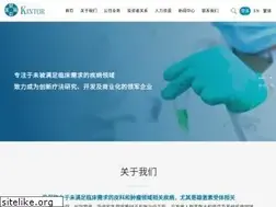 Sites similar to kintor.com.cn
