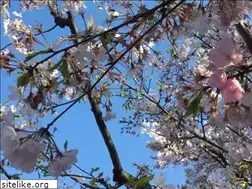 Sites similar to kinzou.cc