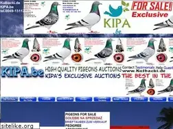 Sites similar to kipa.be