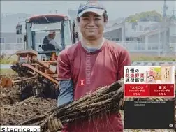 Sites similar to kira-shokuhin.co.jp