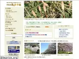Sites similar to kirari1000.com