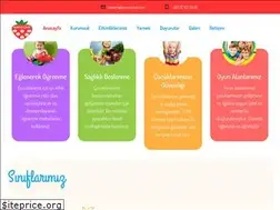 Sites similar to kirmizicilek.com
