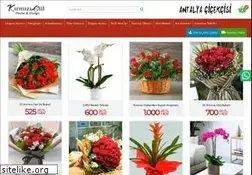 Sites similar to kirmizigulcicekcilik.com