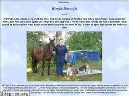 Sites similar to kirojabasenjis.com