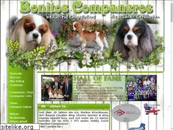 Sites similar to kirschbaum-cavaliere.de