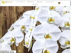 Sites similar to kisako-hana.com