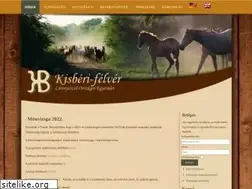 Sites similar to kisberigidran.hu