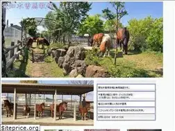 Sites similar to kisouma.net