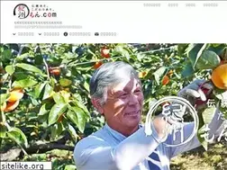 Sites similar to kisyu-mon.com