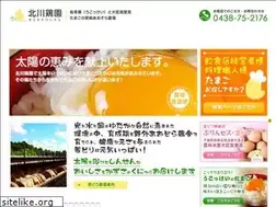 Sites similar to kitagawakeien.com