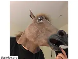 Sites similar to kitchen.horse