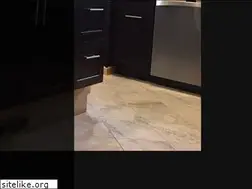 Sites similar to kitchens2000.com