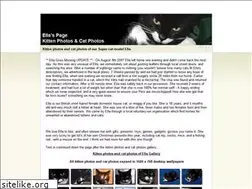 Sites similar to kitten-photos.co.uk