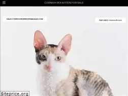 Sites similar to kittencattery.company.com