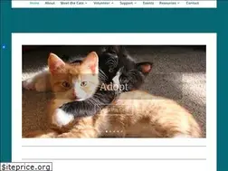 Sites similar to kittensandcats.org
