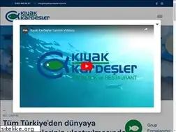 Sites similar to kiyakbalikcilik.com