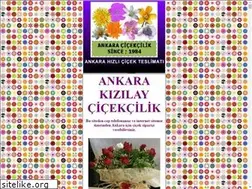 Sites similar to kizilaycicek.org