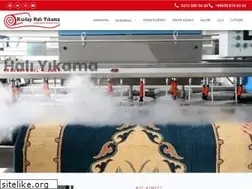 Sites similar to kizilayhaliyikama.com