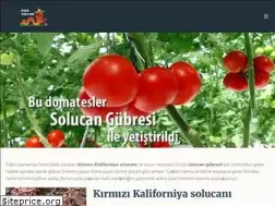 Sites similar to kizilsolucangubresi.com