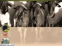 Sites similar to kjhdorpersheep.com