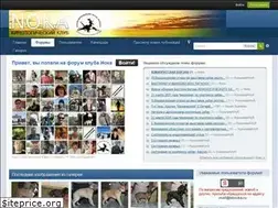 Sites similar to kknoka.ru