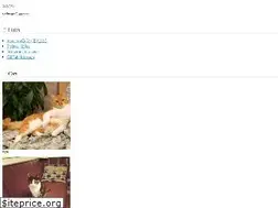 Sites similar to kksg.net