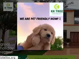 Sites similar to kktreeretreat.com