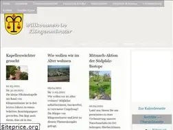 Sites similar to klingenmuenster.de