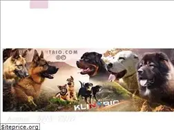Sites similar to klintrio.com