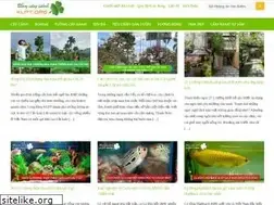 Sites similar to klpt.org