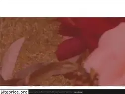 Sites similar to knezkabohyne.cz
