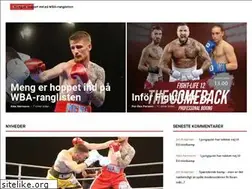 Sites similar to knock-out.dk