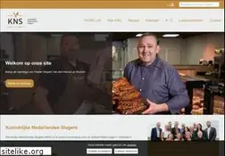 Sites similar to knsnet.nl