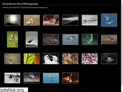 Sites similar to knutsverrehorn.com