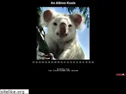 Sites similar to koalas.org