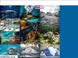 Sites similar to kobestrut.com