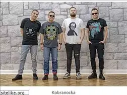 Sites similar to kobranocka.pl