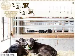 Sites similar to kobu-kuro.com
