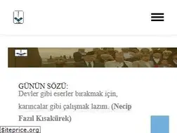 Sites similar to kocaeliaydinlarocagi.org.tr