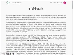 Sites similar to kocaelibitkileri.com