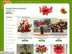 Sites similar to kocaelicicek.com