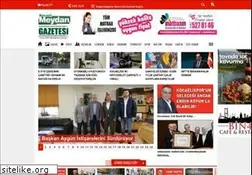 Sites similar to kocaelimeydan.com
