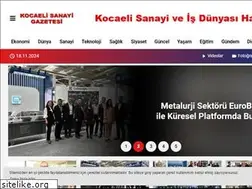 Sites similar to kocaelisanayigazetesi.com