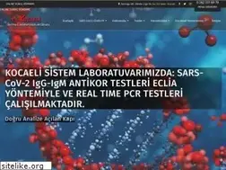 Sites similar to kocaelisistemlab.com