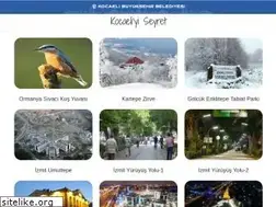 Sites similar to kocaeliyiseyret.com