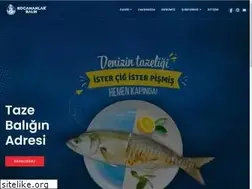 Sites similar to kocamanlarbalikcilik.com