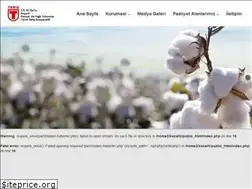 Sites similar to kocarlitarispamuk.com