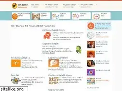 Sites similar to kocburcu.net